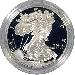 1999 Silver Eagle PROOF In Box with COA 1999-P American Silver Eagle Dollar Proof