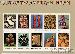 2004 Art of the American Indian 37 Cent US Postage Stamp Unused Sheet of 10 Scott #3873